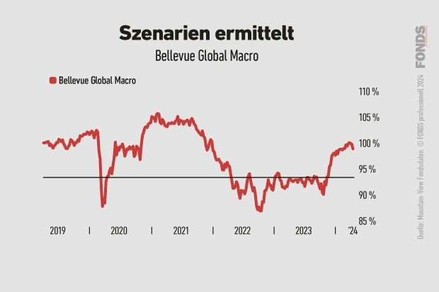 Quelle: Mountain-View; Grafik: FONDS professionell