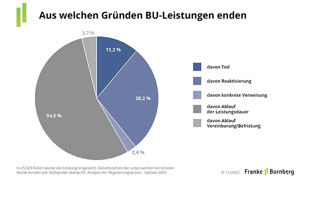 bild-7-grnde-fr-ende-bu-leistung.jpg