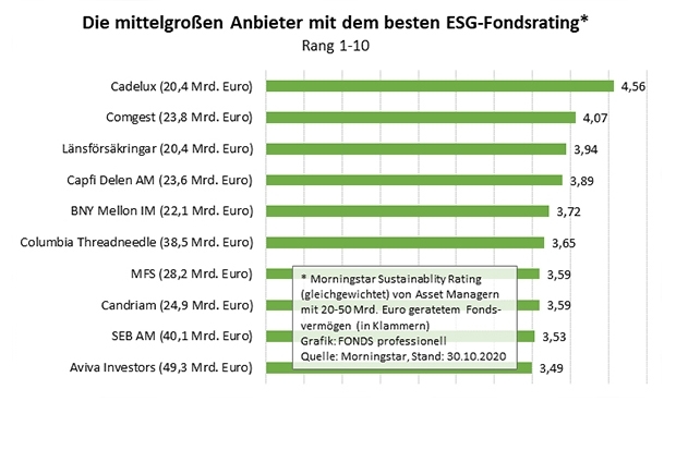 Mittelgroße Asset Manager nach ESG-Fondsrating