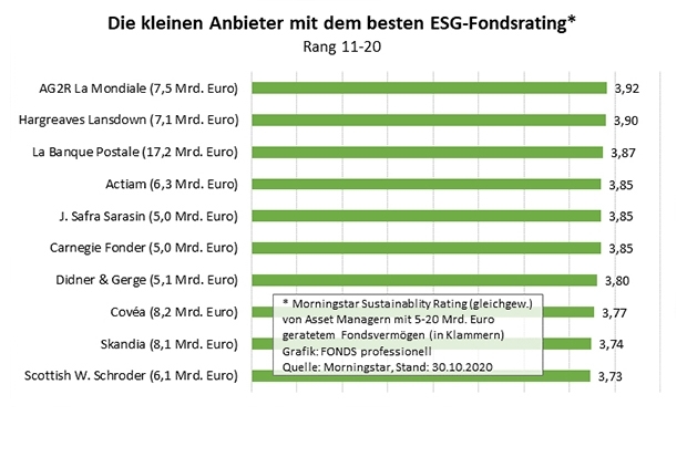 Kleine Asset Manager nach ESG-Fondsrating